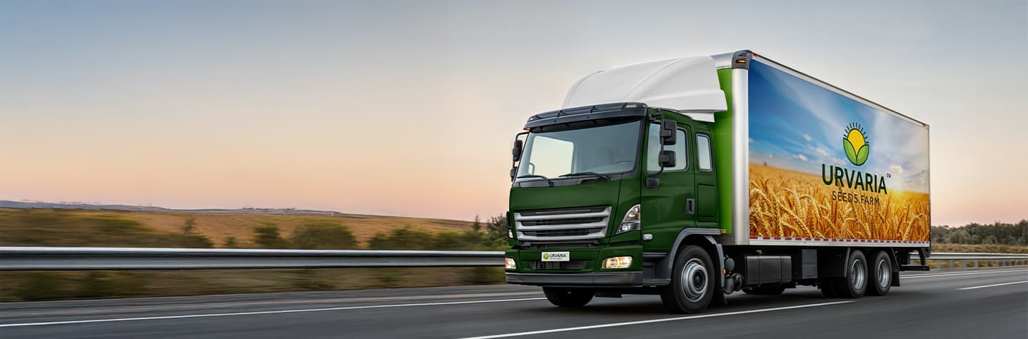 Track orders and delivery more clearly.